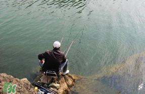 春天釣魚用什么餌料？春天釣魚用腥還是香？