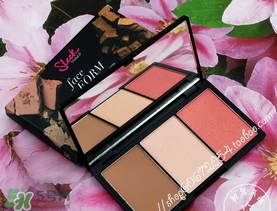 sleek修容色號試色 sleek修容粉試色圖 sleek修容色號試色 sleek修容粉試色圖