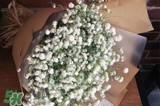 滿天星在花瓶里怎么養(yǎng)？滿天星買回來要養(yǎng)水嗎？