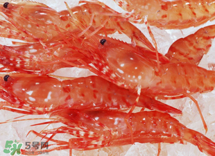 凍蝦能放多久？凍蝦放冰箱冷藏多久？