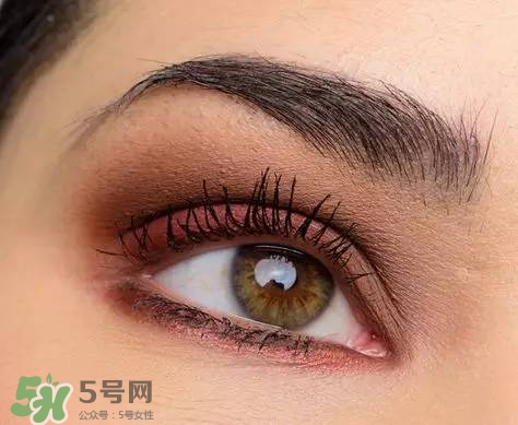 tom ford和香奈兒哪個好？tom ford和香奈兒對比