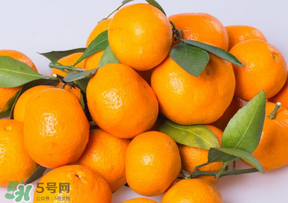 桔子批發(fā)多少錢一斤？桔子多少錢一斤？