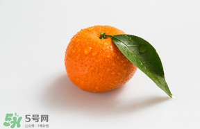 桔子批發(fā)多少錢一斤？桔子多少錢一斤？