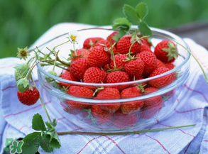 草莓多少錢一斤？草莓多少錢一斤2017？