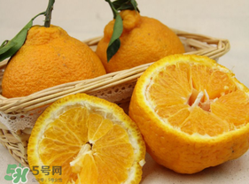 丑橘少錢一斤？丑橘一斤幾個(gè)？