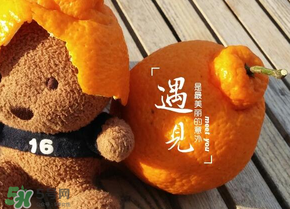 丑橘少錢一斤？丑橘一斤幾個(gè)？