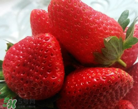 奶油草莓多少錢一斤？奶油草莓價格