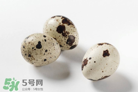 禽流感可以吃鵪鶉蛋嗎？禽流感期間能吃鵪鶉蛋嗎？