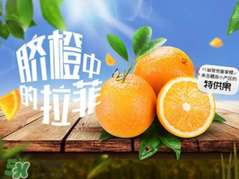 給寶寶吃臍橙好還是血橙好？臍橙好吃還是血橙好吃？