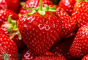 新鮮草莓怎么保鮮？新鮮草莓如何存放更久？