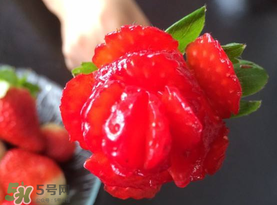 草莓花束怎么做？草莓花束怎么扎起來(lái)？