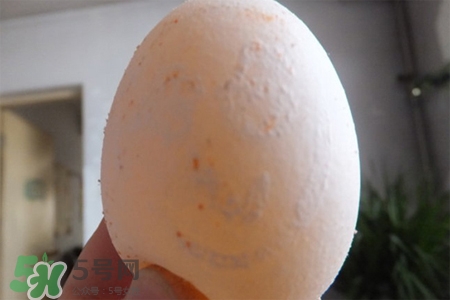 禽流感可以吃鴿子蛋嗎？禽流感期間能吃鴿子蛋嗎？