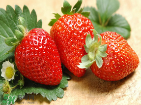 紅顏草莓為什么那么貴？紅顏草莓多少錢一斤？