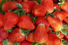 紅顏草莓為什么那么貴？紅顏草莓多少錢一斤？