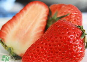 九九草莓多少錢(qián)一斤？99草莓價(jià)格是多少？