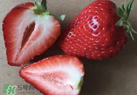 草莓空心能吃嗎？草莓空心怎么回事？