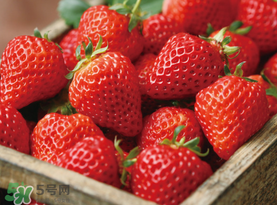 草莓空心能吃嗎？草莓空心怎么回事？