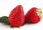 紅顏草莓為什么那么貴？紅顏草莓多少錢一斤？
