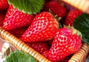 章姬和紅顏哪個(gè)好吃？章姬草莓和紅顏草莓的區(qū)別