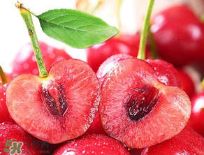 美早和大紅燈哪個(gè)好吃？美早和大紅燈的區(qū)別