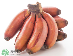 紅香蕉多少錢一斤？南洋紅香蕉多少錢一斤？