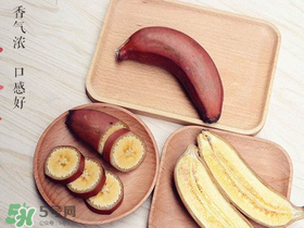 紅色香蕉和黃香蕉哪個(gè)好？紅香蕉和普通香蕉的區(qū)別