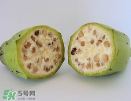 野香蕉可以吃嗎？野香蕉怎么吃？