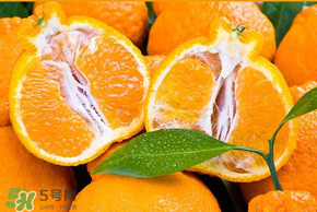 丑橘怎么挑？如何挑選正宗丑橘？