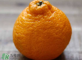 丑橘怎么挑？如何挑選正宗丑橘？