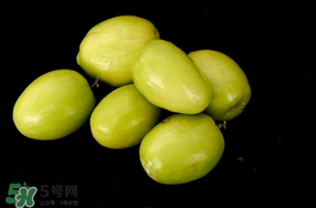 青棗什么時候上市？青棗什么時候成熟？