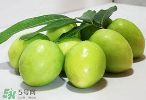 青棗什么時候上市？青棗什么時候成熟？