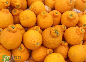 丑橘是轉(zhuǎn)基因嗎？丑八怪是轉(zhuǎn)基因的嗎？