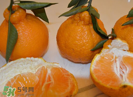 丑八怪水果上火嗎？丑八怪水果吃了降火嗎？