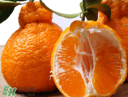 丑八怪水果上火嗎？丑八怪水果吃了降火嗎？