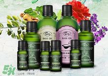 阿芙精油可以去痘印嗎？阿芙精油能不能去痘?。?></p><h3>阿芙茶樹(shù)精油怎么用</h3><h4>臉部保養(yǎng)</h4><p>1、直接點(diǎn)涂</p><p>茶樹(shù)精油是可以直接點(diǎn)涂在皮膚上的單方精油，用干凈的棉簽蘸取少量阿芙茶樹(shù)精油，直接點(diǎn)涂于痘痘處，痘痘會(huì)慢慢消退。</p><p>2、和護(hù)膚品混合</p><p>將1滴阿芙茶樹(shù)精油滴入爽膚水、乳液、精華、面霜等護(hù)膚品中，混合均勻后涂抹在臉上，可以收縮毛孔。</p><p>3、和面膜混合</p><p>將1滴阿芙茶樹(shù)精油滴入面膜中敷臉，可以調(diào)節(jié)肌膚油脂分泌，收縮毛孔，修復(fù)細(xì)胞。</p><p>4、面部按摩</p><p>將1滴阿芙茶樹(shù)精油、1滴洋甘菊精油、1滴薰衣草精油、10ml葡萄籽油混合均勻，用來(lái)按摩面部，可以幫助排毒。</p><p style=