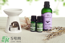 阿芙精油可以去痘印嗎？阿芙精油能不能去痘?。?></strong><br/></p><h4>身體保養(yǎng)</h4><p>1、泡澡</p><p>在浴缸中加入5~6滴阿芙茶樹(shù)精油，攪拌均勻，然后像平時(shí)一樣泡澡，可以有效控油，讓肌膚清新滑爽。</p><p>2、泡腳</p><p>在一盆熱水中加入2~3滴阿芙茶樹(shù)精油，攪拌均勻，用來(lái)泡腳10分鐘，可以有效治療香港腳。</p><p>3、涂在灰指甲上</p><p>在灰指甲上滴1滴阿芙茶樹(shù)精油，堅(jiān)持使用，漸漸就會(huì)有健康的指甲長(zhǎng)出來(lái)。</p><p>4、漱口</p><p>在一杯溫開(kāi)水中加入1~2滴阿芙茶樹(shù)精油，攪拌均勻，用來(lái)漱口，可以改善牙齦出血、腫痛。</p><h4>消毒熏香</h4><p>1、熏香</p><p>在熏香爐中加入2~3滴阿芙茶樹(shù)精油，既可以讓香氣散發(fā)在室內(nèi)，還可以凈化空氣中的細(xì)菌、病毒和蚊蟲(chóng)。</p><p>2、洗內(nèi)衣</p><p>洗內(nèi)衣時(shí)，在水里加入3~4滴阿芙茶樹(shù)精油，能夠有效殺滅細(xì)菌病毒、去除異味，預(yù)防感染婦科炎癥。</p><p>3、家庭清潔</p><p>在一桶清水中加入6滴阿芙茶樹(shù)精油，可用來(lái)洗抹布、碗盤(pán)、擦地板、擦桌子等，有助于殺菌，并消除污垢。</p>		</div>
<div align=