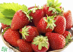 新鮮草莓怎么做好吃？新鮮草莓的吃法