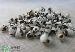 穿山甲下奶怎么吃？穿山甲下奶效果好嗎？