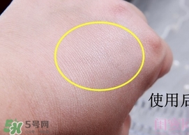 canmake花瓣高光怎么用？canmake花瓣雕刻高光使用方法