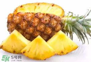 菠蘿批發(fā)多少錢一斤？菠蘿批發(fā)價格