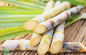 甘蔗要洗嗎？吃甘蔗時要用鹽水洗嗎？
