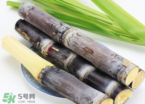 甘蔗為什么會(huì)變黑？甘蔗放久了為什么會(huì)變黑？