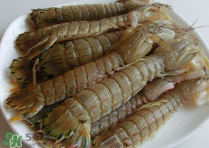 皮皮蝦多少錢一斤？皮皮蝦多少錢一斤2017？