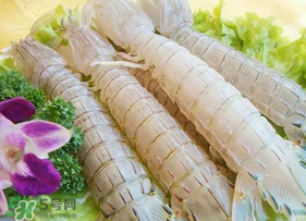 皮皮蝦為什么沒有肉？皮皮蝦為什么里面沒肉？