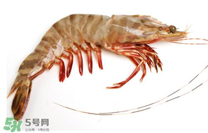 基圍蝦多少錢一斤？基圍蝦多少錢一斤2017？