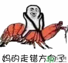 說(shuō)人皮皮蝦是什么意思？女生叫男生皮皮蝦什么意思？