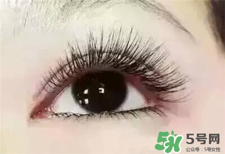 孕睫術(shù)是什么？孕睫術(shù)有用嗎？