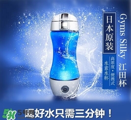 水素杯的價格是多少？水素杯日本價格多少？