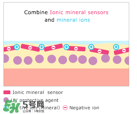安耐曬真假鑒別2017款 安熱沙真假辨別2017版 安耐曬真假鑒別2017款 安熱沙真假辨別2017版