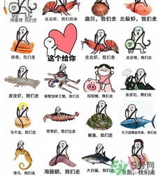 用皮皮蝦罵人什么意思？罵人皮皮蝦什么意思？